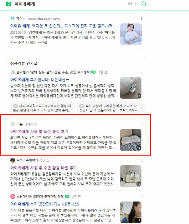 제품리뷰 네이버 검색 결과 캡처