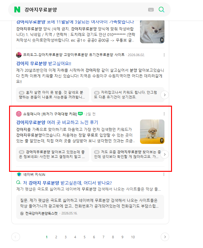 강아지무료분양 카페 네이버 검색 결과 캡처
