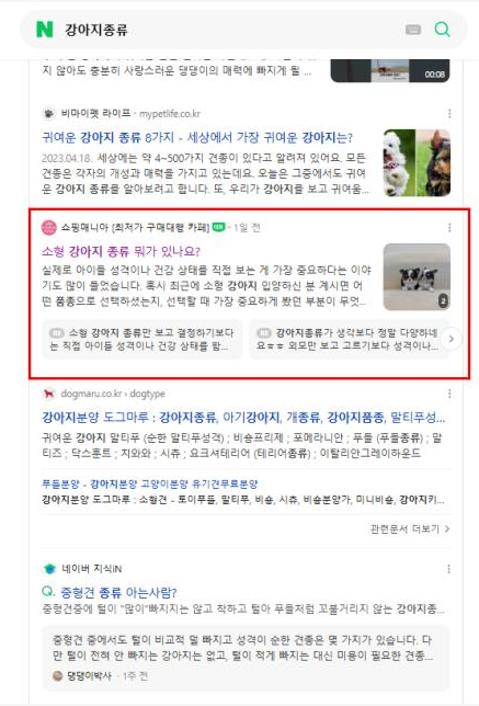 강아지종류 카페 네이버 검색 결과 캡처
